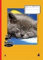 Schulheft A5 16 Blatt Lineatur 2, Heft, farbig hinterlegt, Bastelweltset, Grundschule 2. Schuljahr