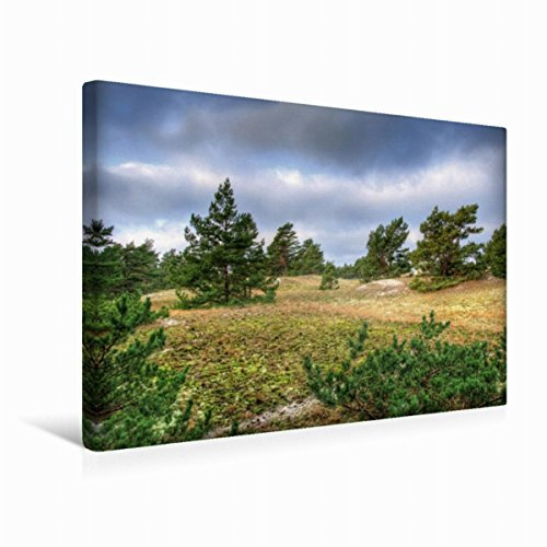 Premium Textil-Leinwand 45 x 30 cm Quer-Format Krüppelkiefern auf dem Darß | Wandbild, HD-Bild auf Keilrahmen, Fertigbild auf hochwertigem Vlies, Leinwanddruck von Steffen Gierok