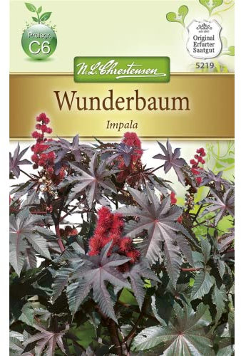 Chrestensen Wunderbaum 'Impala'