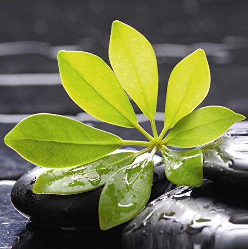 Eurographics DG-DT2089 Glasbild Deco Glass Spa Impression 30 x 30 cm