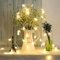 Timewanderer Star Warm White Led String Fairy Light AA Battery Operated Bright LED Lights Decorative Lights Clear Wire for Christmas DIY (5M 50 Stars)
