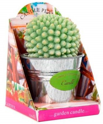 Bougie Cactus dans pot métal - plante grasse - succulente (M1)