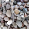 Fargro Scottish Beach Pebbles 20-14mm 25kg