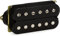 DiMarzio - DP193BK - Air Norton - noir