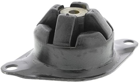 VAICO V10-2430 Lagerung, Motor