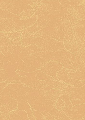 Heyda 204719512 Strohseide (70 x 150 cm, 25 g/qm, Rolle) beige