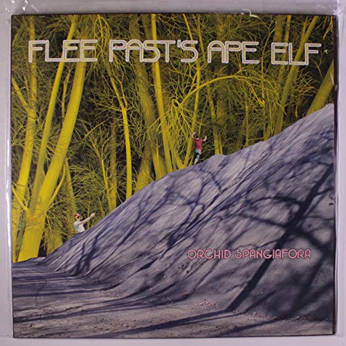 Flee Pasts Ape Elf