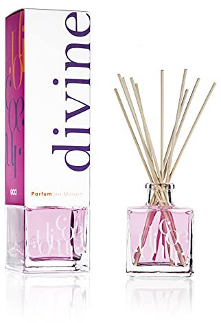 Goa 266 Diffusor Goatier Göttliche Schönes Herz 250 ml