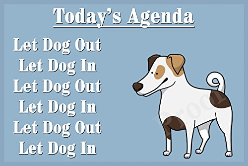 Jack Russell Terrier Dog Funny Fridge Magnet Gift