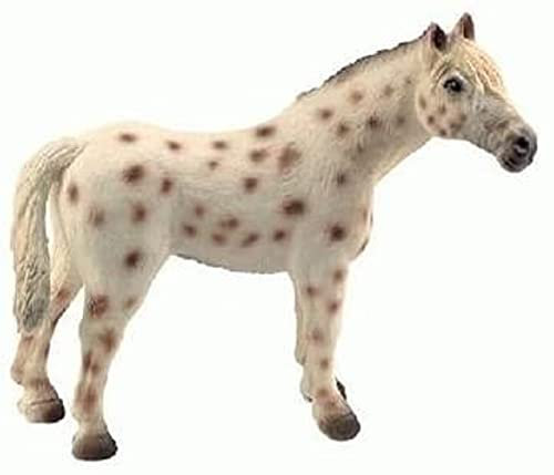 Bullyland 62621 - Spielfigur Knabstrupper Hengst, ca. 11,9 cm, detailgetreu, PVC-frei, ideal als kleines Geschenk für Kinder ab 3 Jahren