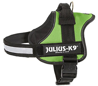 Julius-K9, 162KW-M, K9-Powerharness, hundsele, storlek: Mini, kiwi