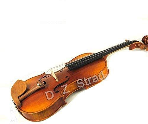 D Z Strad Modell N2011 Viola 38,1 cm Outfit mit Tasche, Bogen, Schulterstütze und Kolophonium