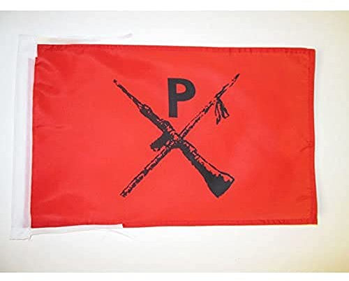 BANDERA de los MONTONEROS DE ARGENTINA 45x30cm - BANDERINA MPM ARGENTINA 30 x 45 cm cordeles - AZ FLAG