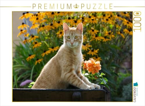 CALVENDO Puzzle Neugierige rot getigerter Katze in einem blühenden Garten | 1000 Teile Lege-Größe 64 x 48 cm Foto-Puzzle für glückliche Stunden