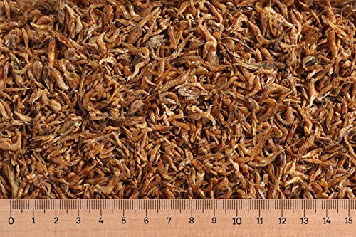 1 kg Shrimps 1-2 cm, Garnelen, Schildkrötenfutter, Reptilienfutter