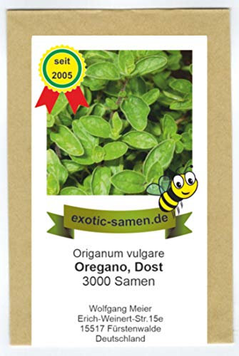 Oregano - Dost - Bienenweide - Oreganum vulgare - 3000 Samen