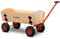 ECKLA XXL Bollerwagen Trailer Transporthelfer