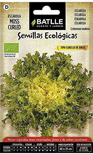 Semillas Batlle Escarola Cabello Angel Moss Curled - ECO