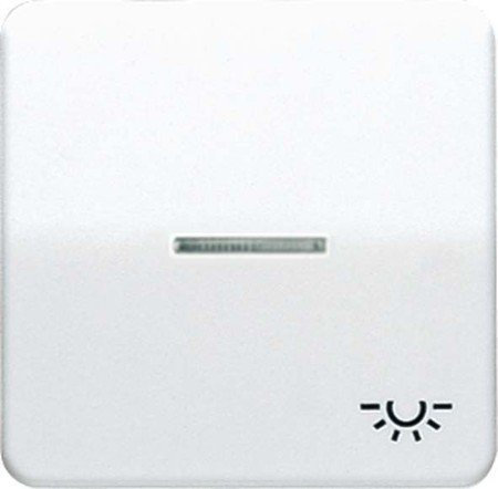 Jung CD590KO5LWW Wippe mit Symbol Licht KO