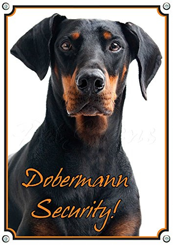 Petsigns Warnschild Dobermann - Security! Hundeschild - stabiles Metallschild, DIN A4
