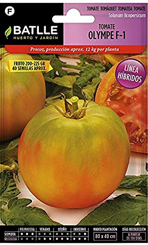 Samillas Batlle F-1 Tomate Tomate Olympe Hybrid F-1