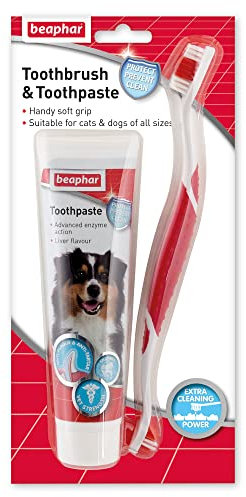 Beaphar | Toothbrush & Toothpaste Dental Care Kit | For Dogs & Cats | Includes A Double-Ended Toothbrush & Liver-Flavoured Enzymatic Toothpaste, 100g Tube, 2 Count (Pack Of 1)