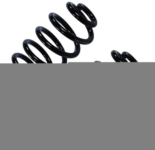 BESTPRICE 2x Fahrwerksfeder hinten links & rechts Kompatibel mit AUDI A4 B6 Avant (8E5), A4 B7 Avant (8ED), SEAT EXEO (3R2)