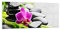 Panorama Bilder auf Glas 100x40cm Glasbild Pflanze Steine Bambus Spa Groß Wanddeko Bild im Glas Schlafzimmer Küche Wandbilder Dekoration Wohnzimmer Modern Wall Decor Wand Kunstdruck Art GAB100x40-2681