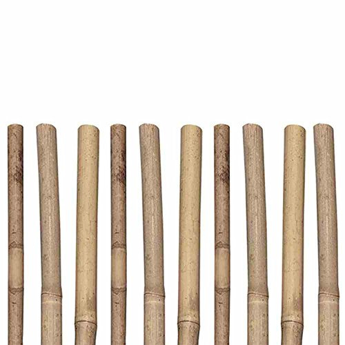 Siena Garden Tonkinstäbe, 6/8mm, 90cm, 10 Stück, beige