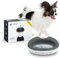 Torus Pet Mini gefilterter Wassernapf (Holzkohle) – 1 Liter – Napf für Zuhause und unterwegs – Autofill – tragbar – antimikrobiell – BPA-frei – Katze – Kleiner Hund