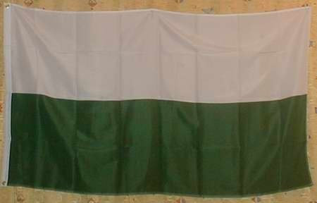 Buddel-Bini Flagge Fahne ca. 90x150 cm : Steiermark ohne Wappen Österreich Steiermarkflagge