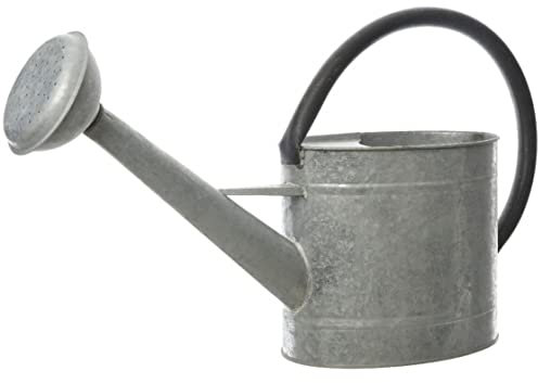 Decoris 83300 Regadera de Zinc, Solo Uso Decorativo, 5 litros, Gris