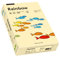 Papyrus 88042275 Drucker-/Kopierpapier farbig: Rainbow 80 g/m² DIN-A4, 500 Blatt Buntpapier, matt, chamois (beige)