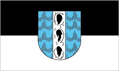 Fahne/Flagge Österreich - Bregenz 90 x 150 cm