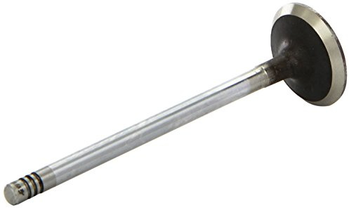 AE V94490 Einlaßventil