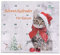 Adventskalender gefüllt mit Katzenspielzeug