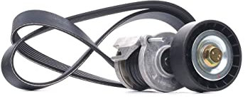 DAYCO kpv262 Kit Keilriemen geriffelt,