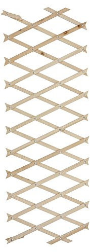 Budget Trellis 180Cm X 60Cm by Kingfisher