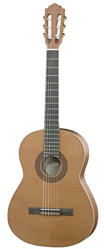 Hofner Konzertgitarre HZ23