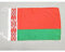AZ FLAG - Flagge Weißrussland - 45x30 cm Mit Kordel - Weißrussische Fahne 30 x 45 Cm - Flaggen