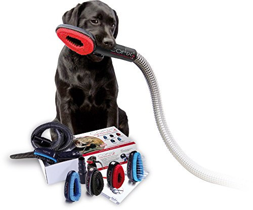 Cofix Standardkit B Kurzhaar rauh