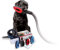 Cofix Standardkit B Kurzhaar rauh