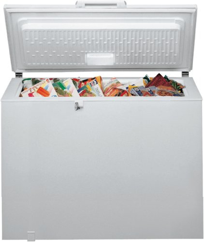 Bauknecht GTE 330 A2+ Gefriertruhe/A++ / Gefrieren: 311 L/Weiß/Space Max/Super Gefrieren