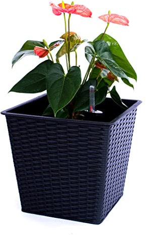 Elegant Einrichten Blumenkübel quadratisch, konisch Polyrattan 42x42x38cm schwarz.