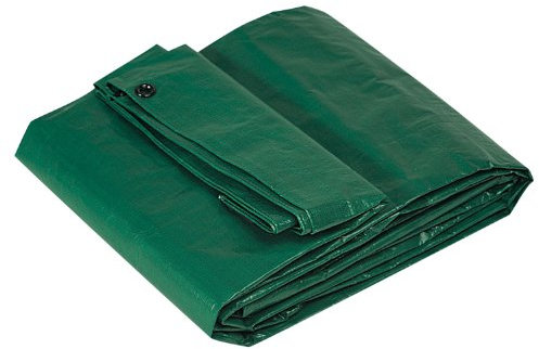 Papillon 80215 Telo Occhiellato, 6x10 m, Verde