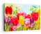 Bilder auf Leinwand Tulpe Blume Garten Plantage Leinwandbild 70x50cm Wandbilder Dekoration Wohnzimmer Schlafzimmer Küche Deko Klein Wanddeko Bild Wand Kunstdruck Art Wall Decor Canvas AA70x50-2466