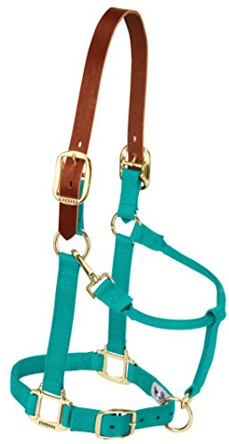 Weaver Leather Nylon Adjustable Breakaway Horse Halter, Yearling, Emerald Green