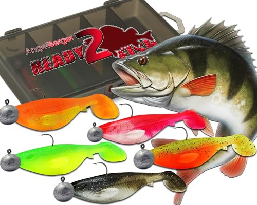 Wild Devil Baits Ready2Fish Action Shad mit Box Gummifisch Set mit Jighaken fertig zum Angeln