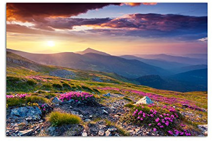 120x80cm - Fotodruck auf Leinwand und Rahmen Berge Alpenrosen Berge Himmel Sommer - Leinwandbild auf Keilrahmen modern stilvoll - Bilder und Dekoration