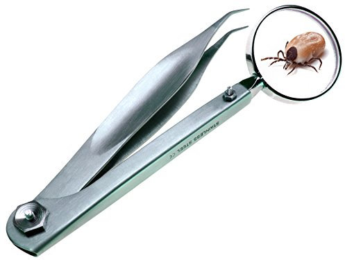 Wittex Zeckenpinzette MIT LUPE Innovation !